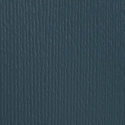 RAL 5008
